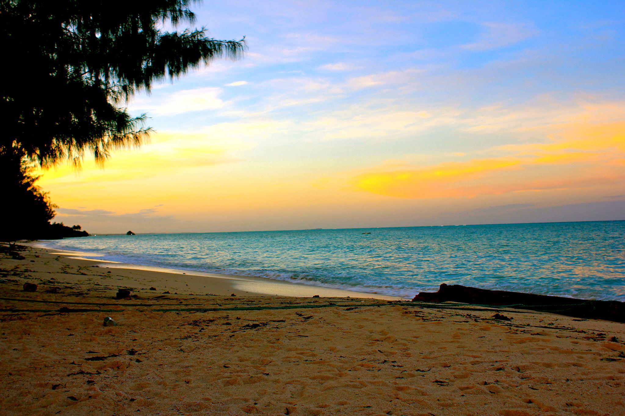 Pongwe - Kimurimuri Zanzibar